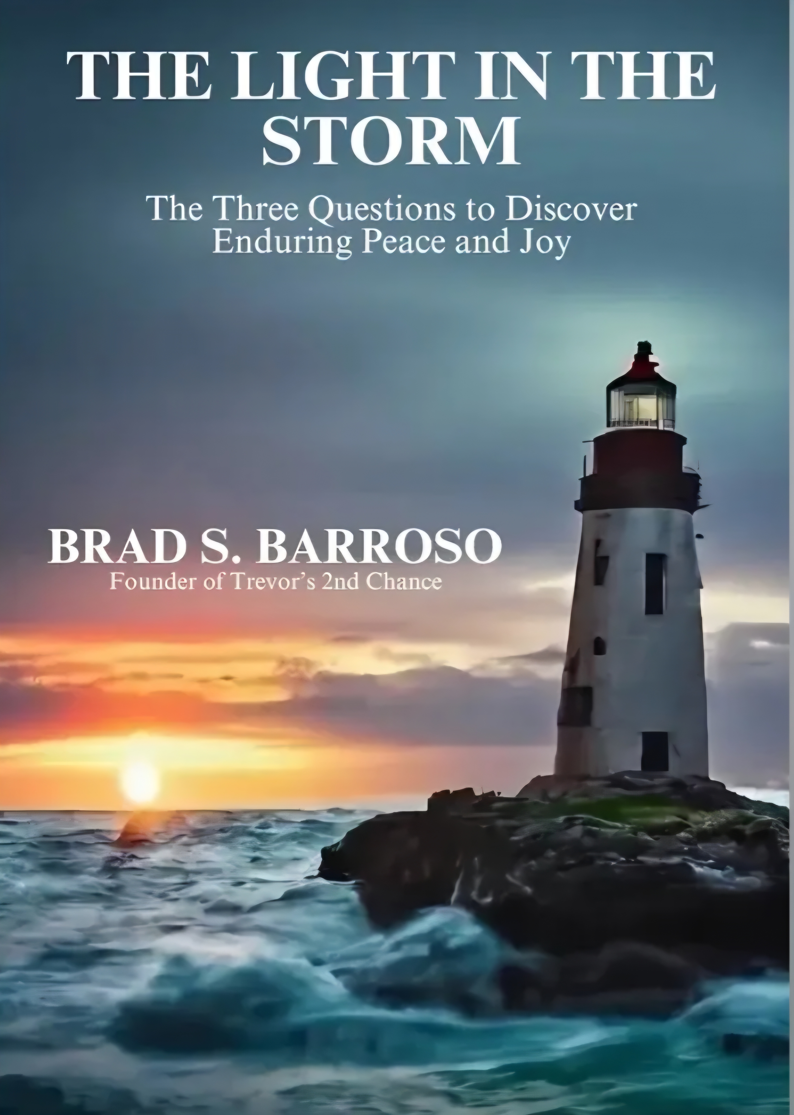 The Light in the Storm book cover