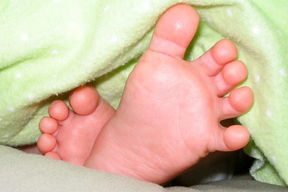 CatalogFeet