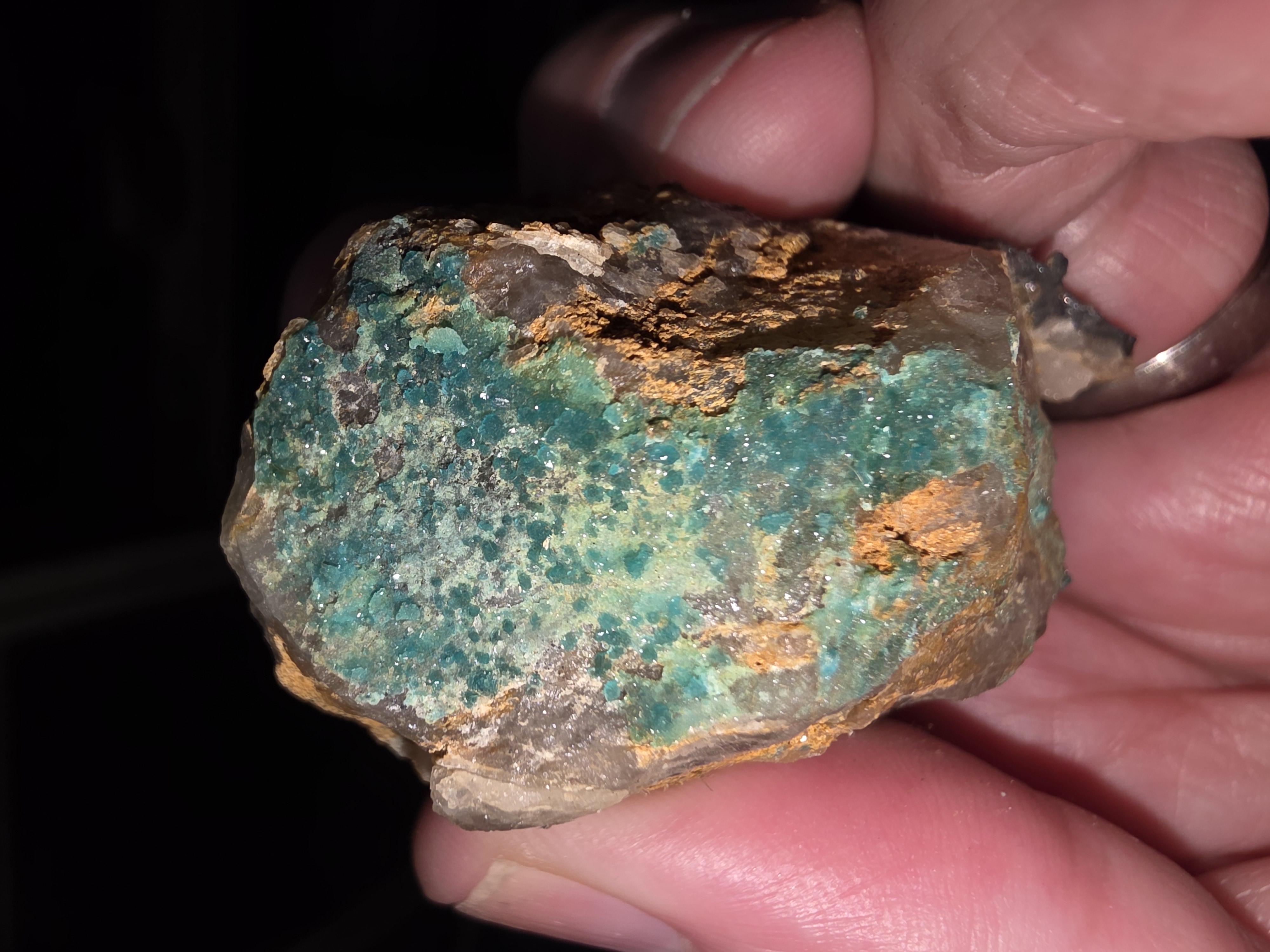 Virginia Crystalline Turquoise Specimen 003 — Wheat-Sheaf Rosette