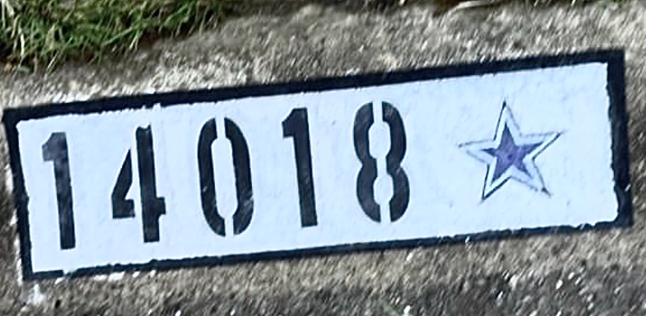 Custom design curb number