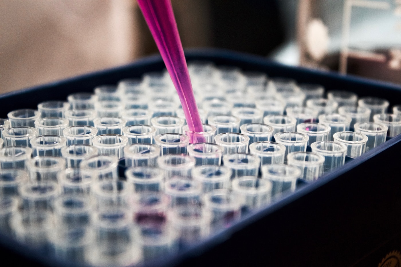Drug Checking Services: A Harm Reduction Field Guide
