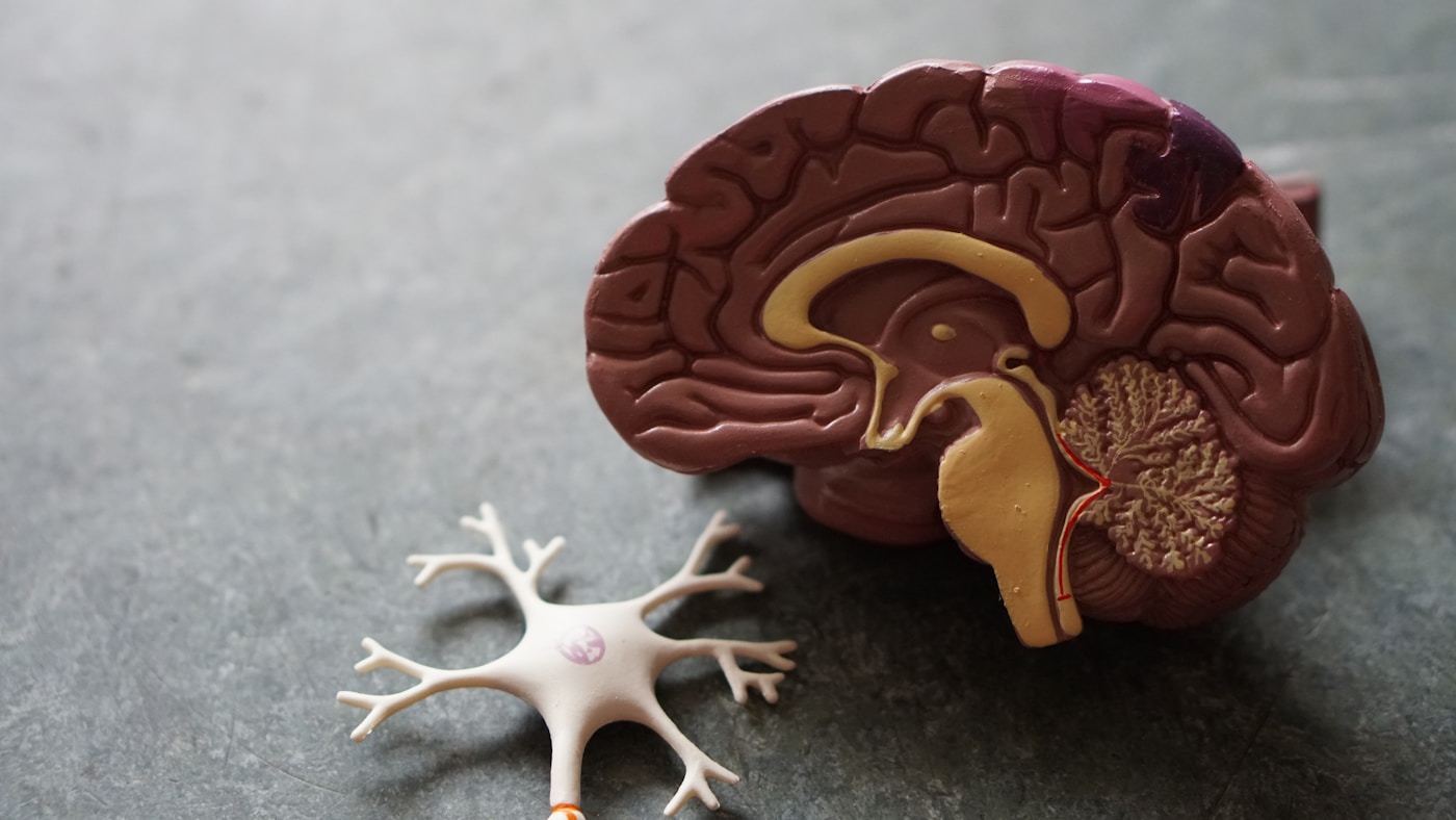 Inside the Science: A Q&A with Robin Carhart-Harris on Psilocybin Therapy