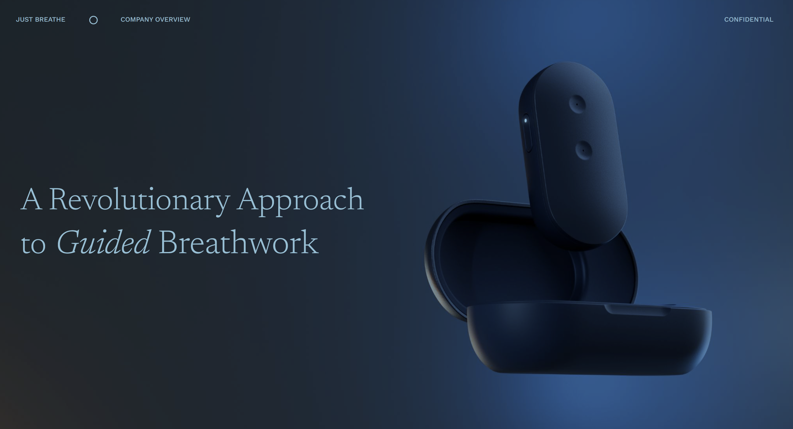 Just Breathe device and carrying case