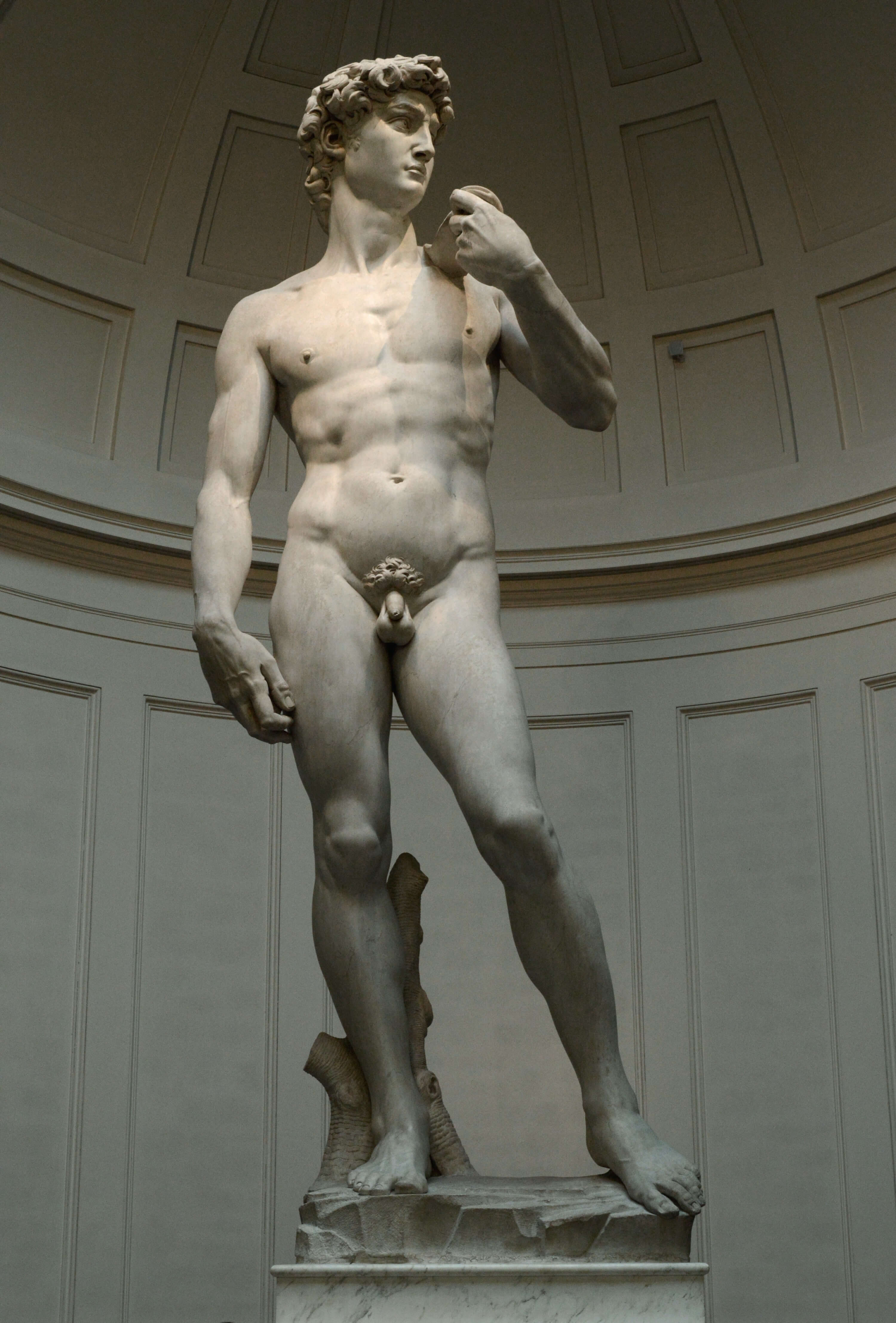 Michelangelo's David