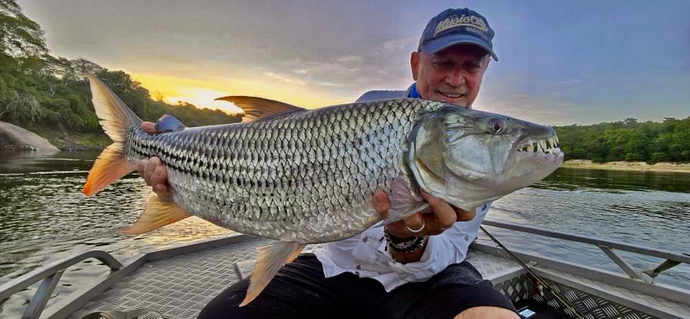 Tigerfish held up showing teeth forward — Rufiji River, Tanzania