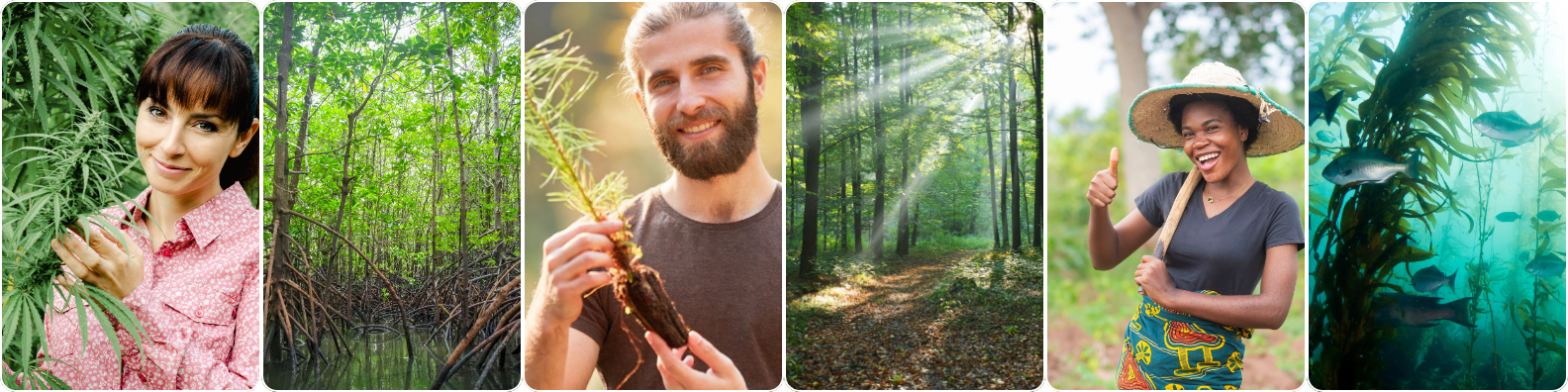 Tao Climate nature projects