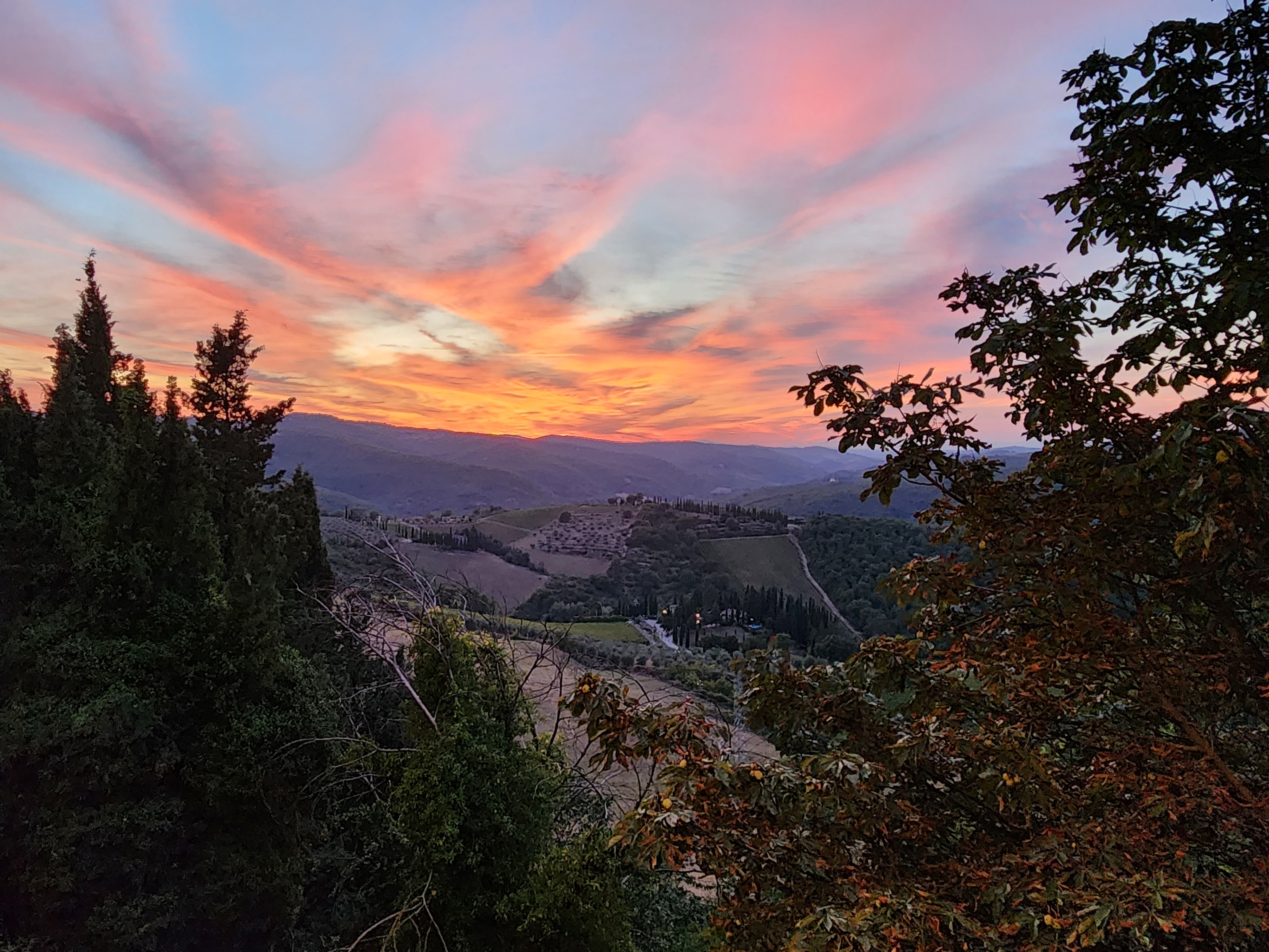 Sunset light over wooded Tuscan hills and patterned countryside.