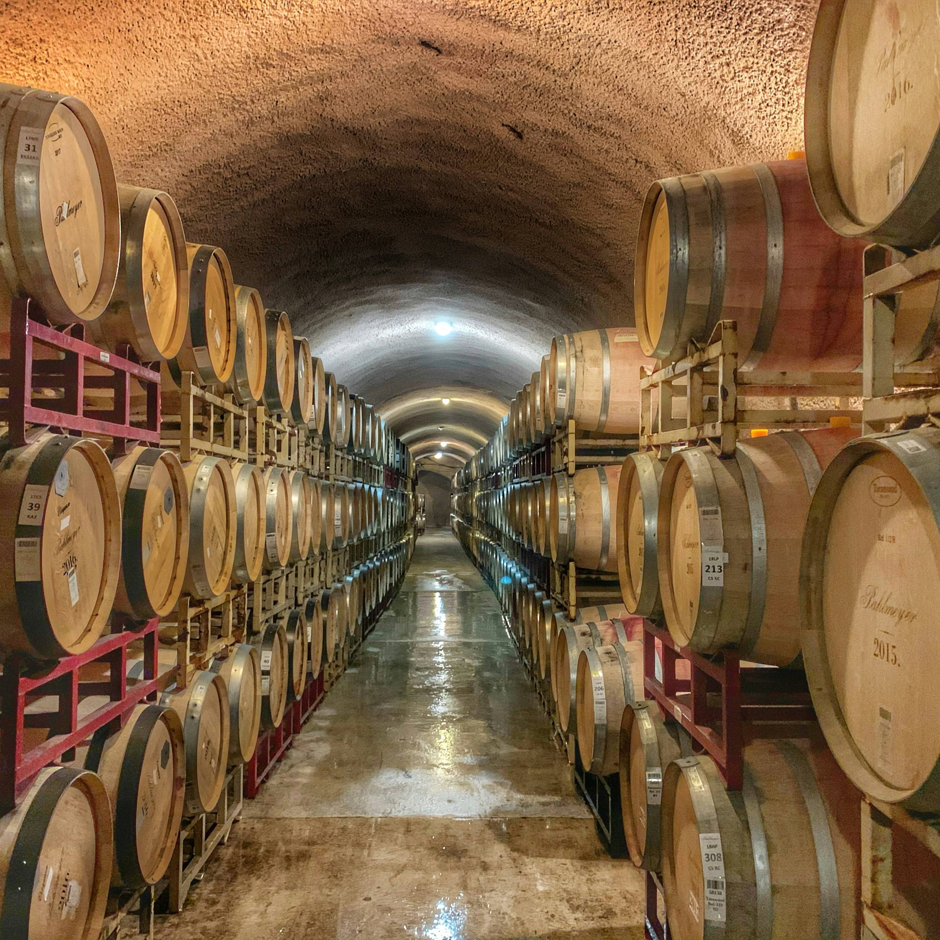 Rows of wine barrels lining a vaulted cellar for a Napa Valley tasting.