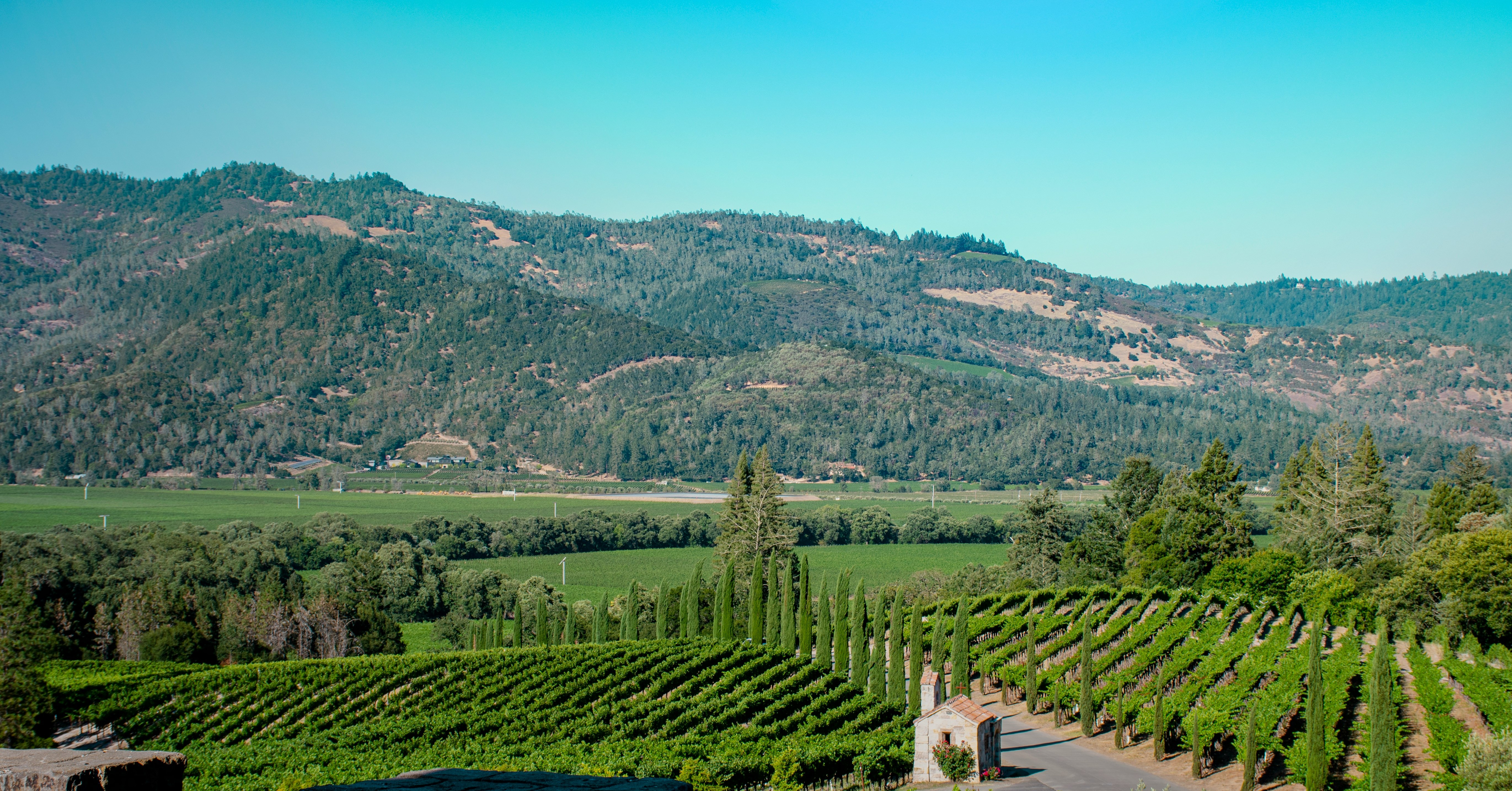 A wide vineyard landscape stretching across Napa Valley hills.