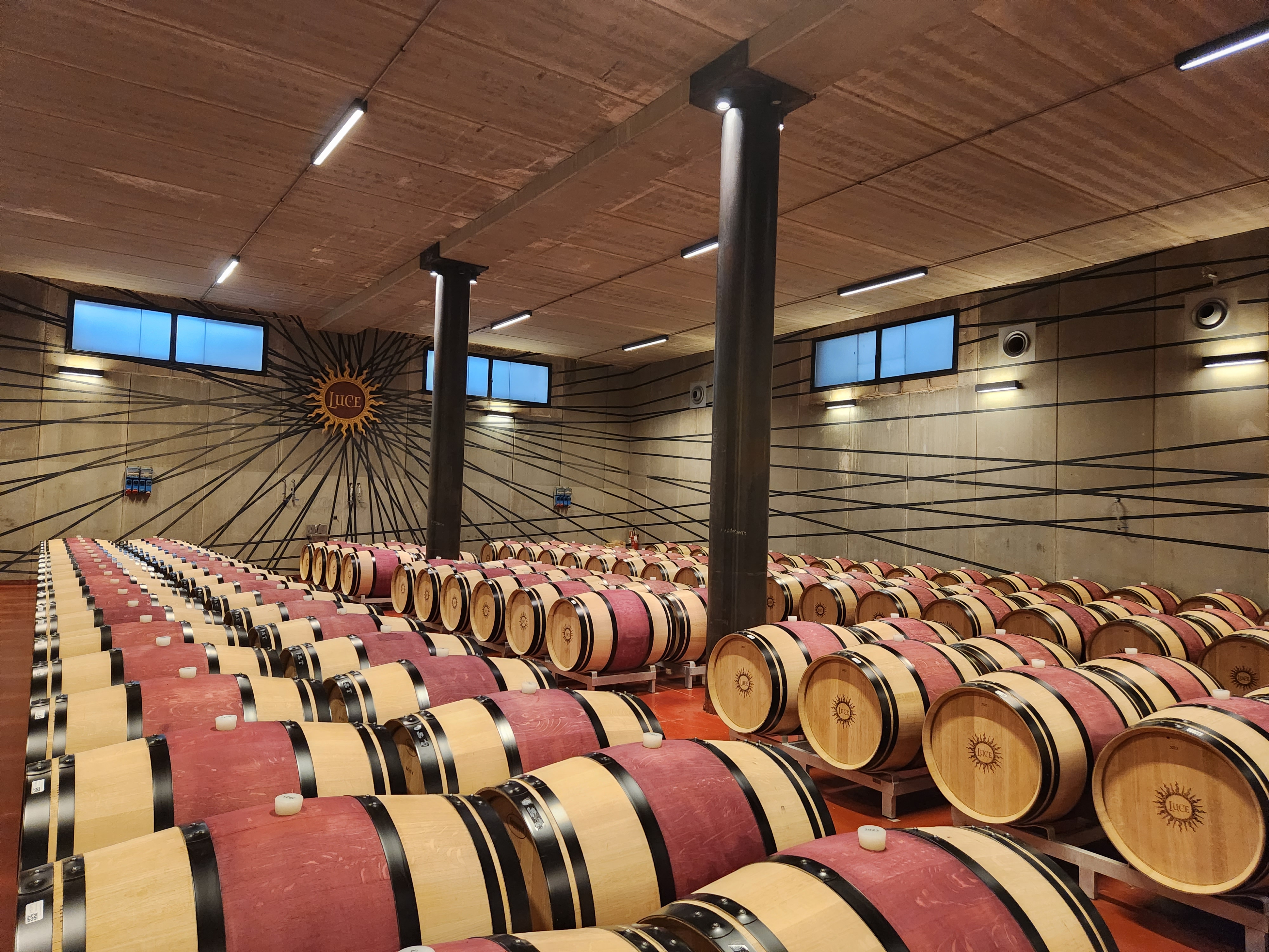 Rows of oak wine barrels in a cellar beneath warm overhead lights.
