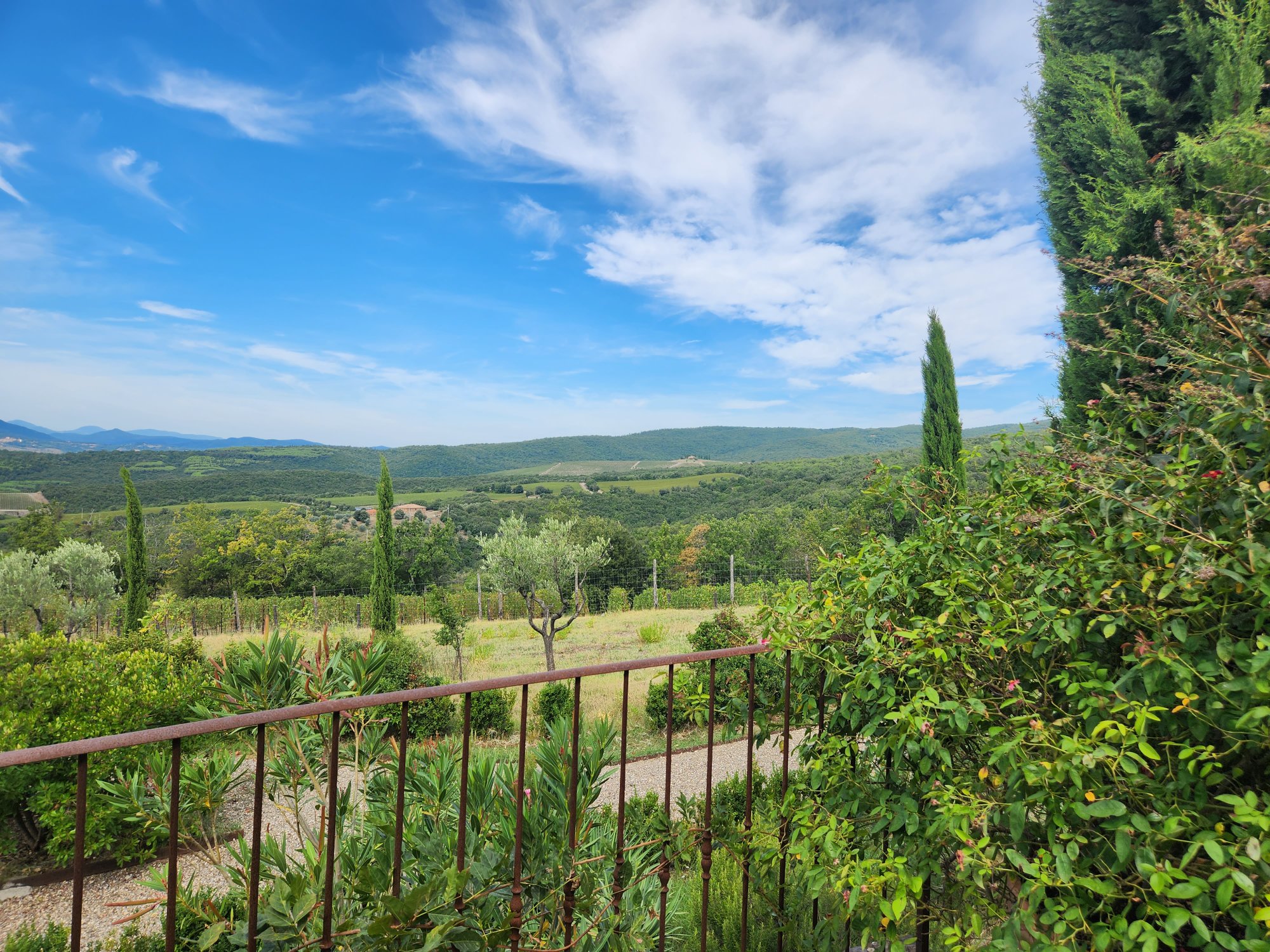 Tuscan scenery for a twelve-day journey through Italy.