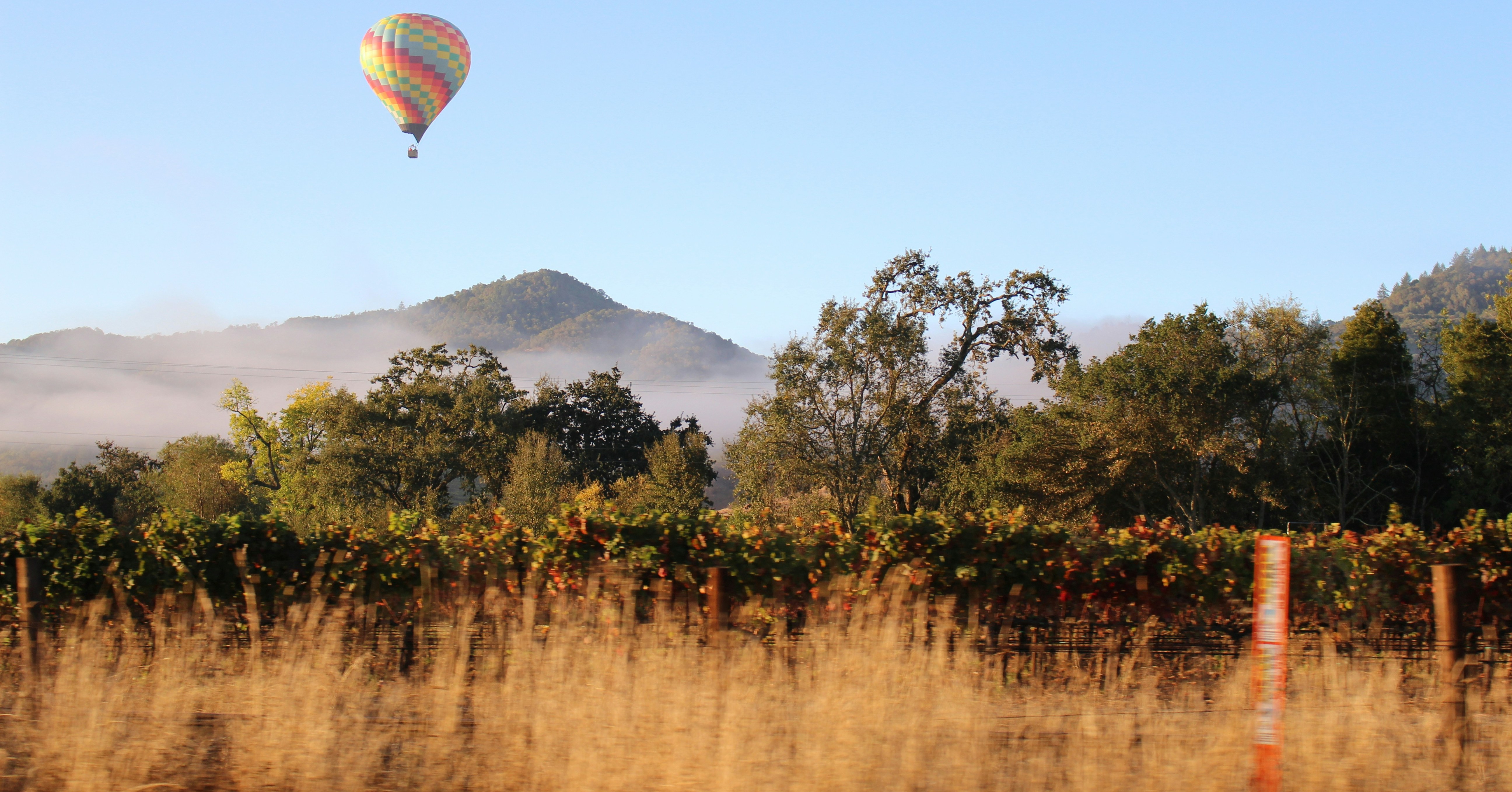 A colorful hot-air balloon floating above vineyards and autumn trees.