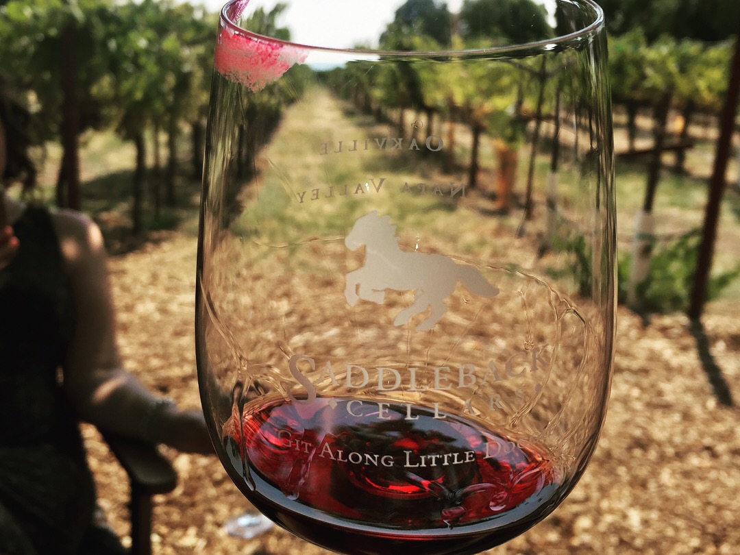 A wine-focused setting for a memorable weekend with friends.