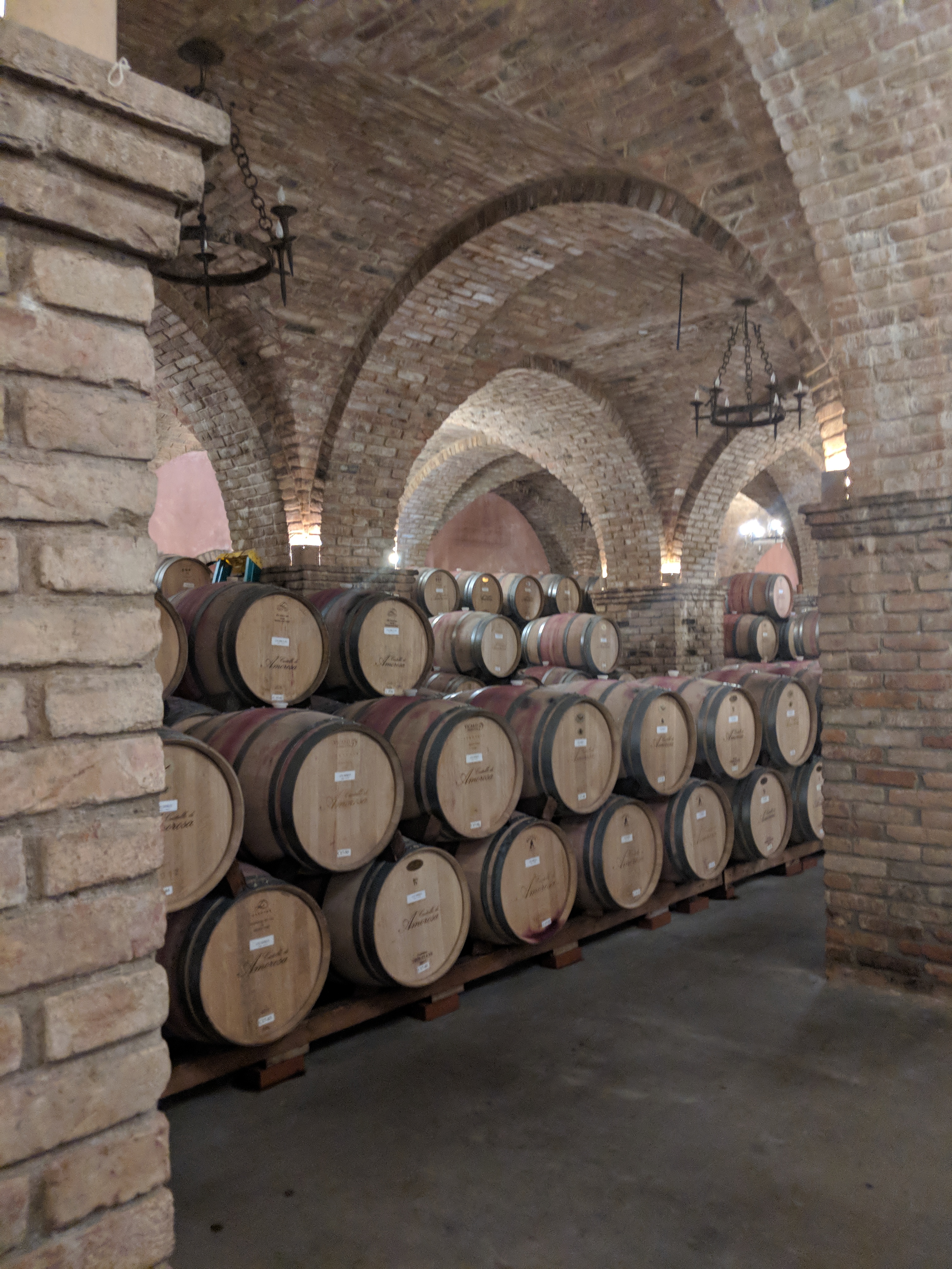 Oak barrels arranged beneath brick arches in a wine cellar.
