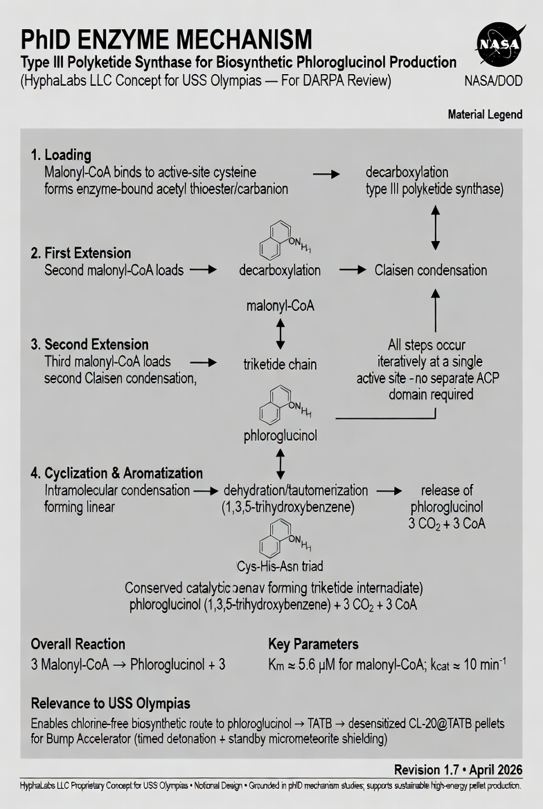 PhlD Enzyme Mechanism — Type III Polyketide Synthase for Biosynthetic Phloroglucinol Production — Rev 1.7