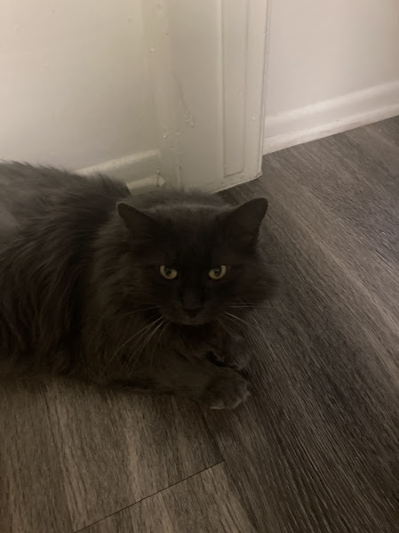 Smokey
