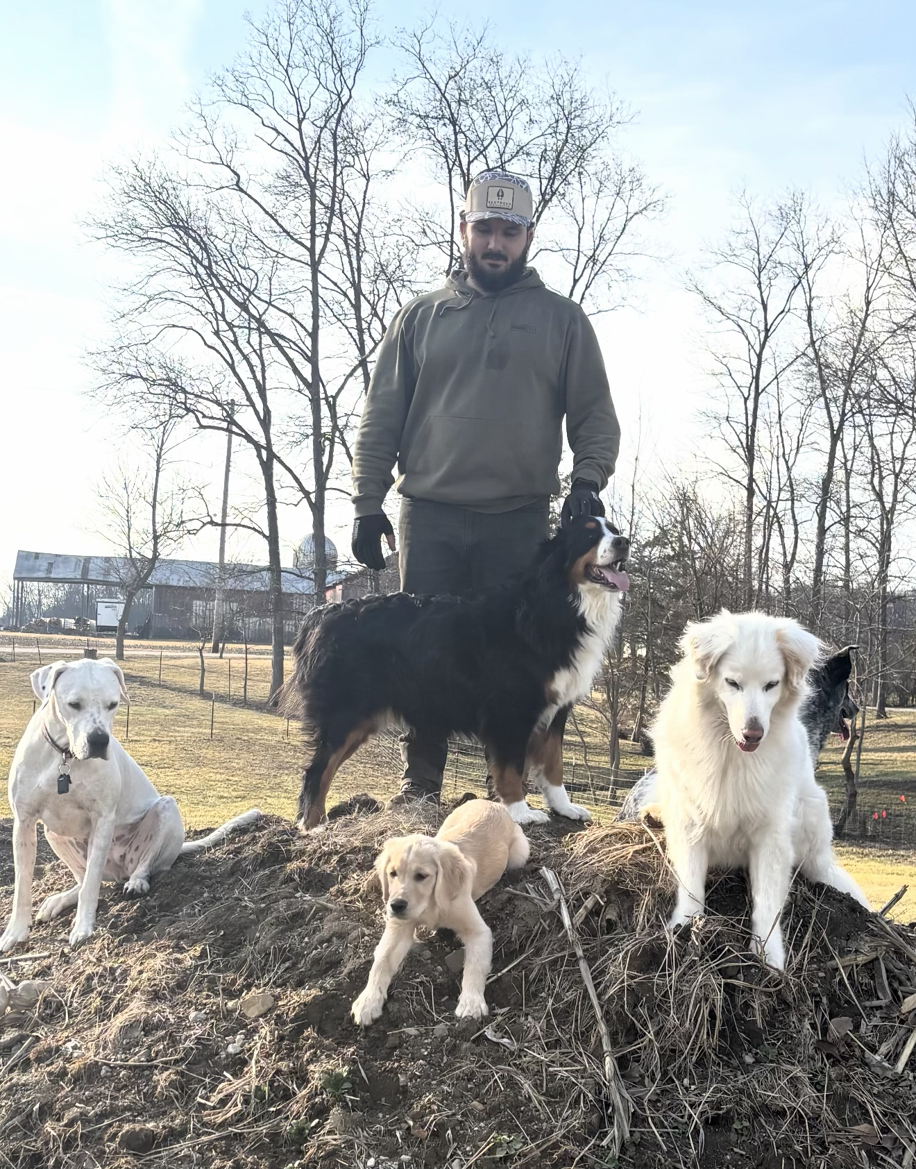 Christian Jury at Ohio property with dogs