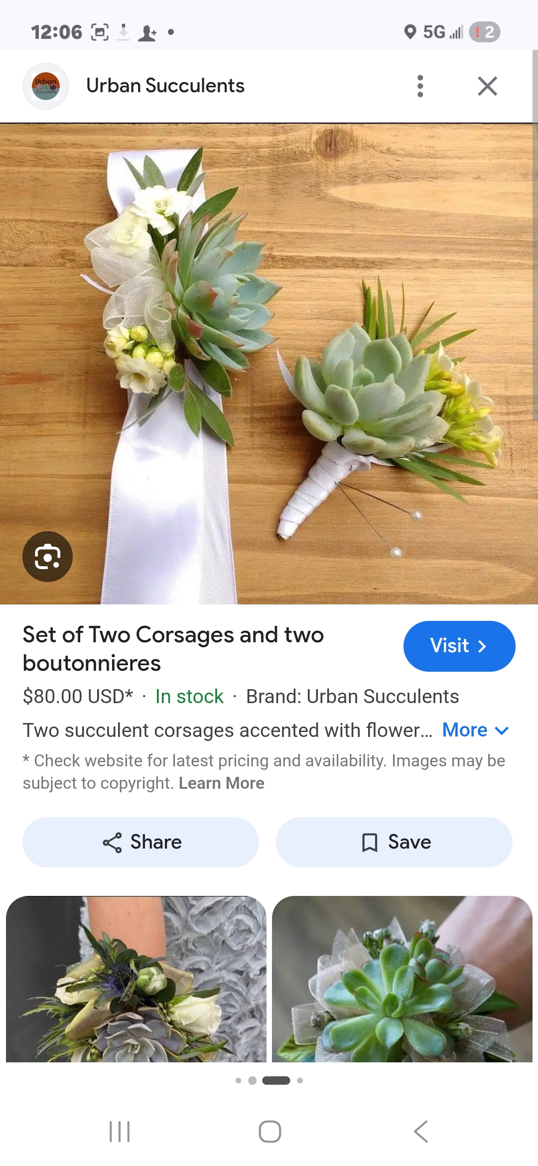 Succulent corsage and boutonniere set