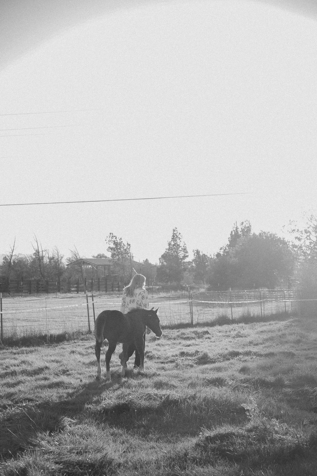 Christina Haron walking away with her horse in the field
