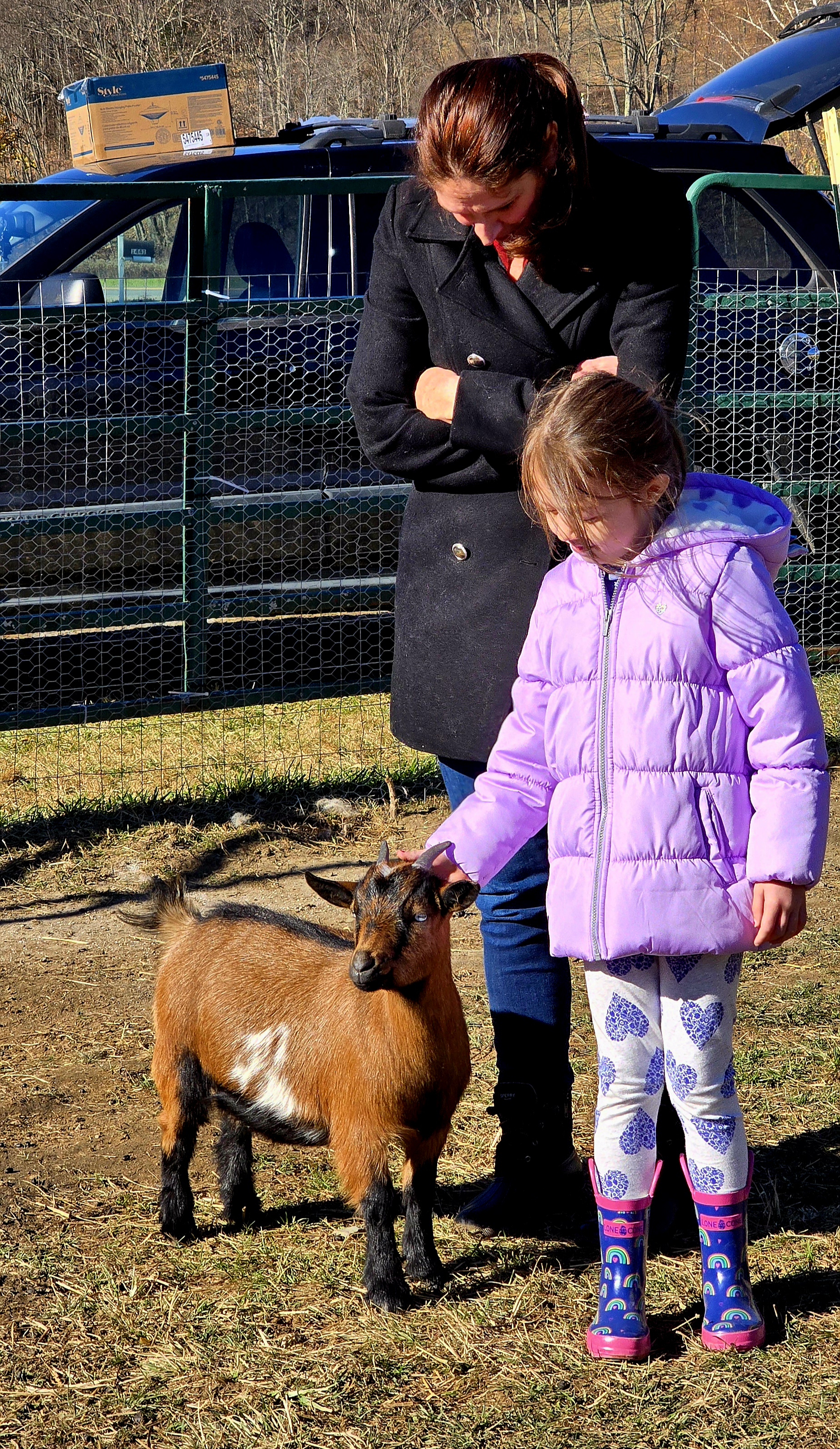 Springy and Lily in the field