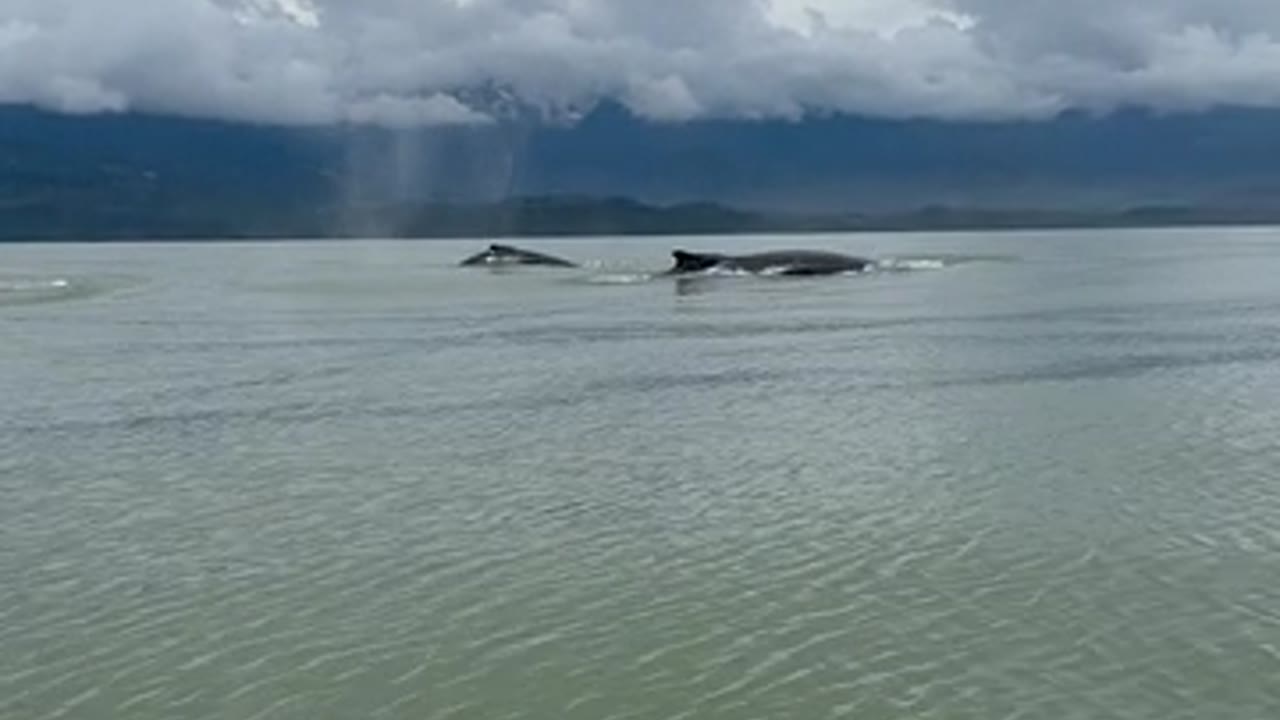 Whale Moved $500M — Everyone's Reading It Wrong