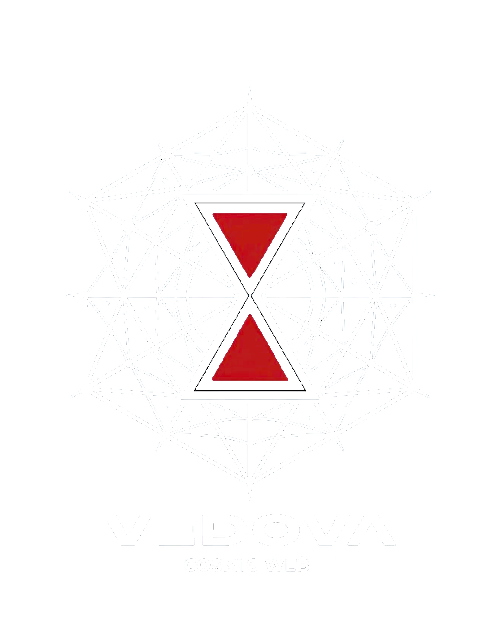 Vedova Cosmic Web