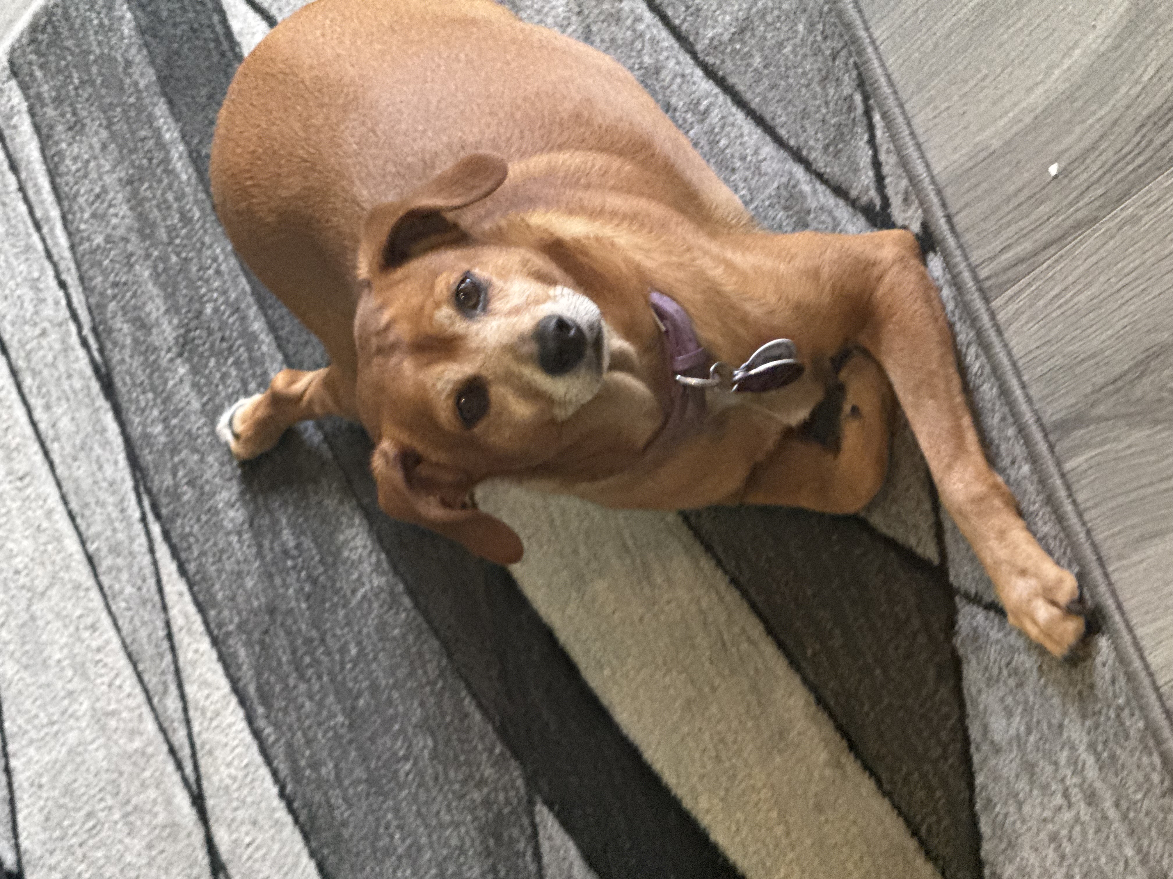 Maddie