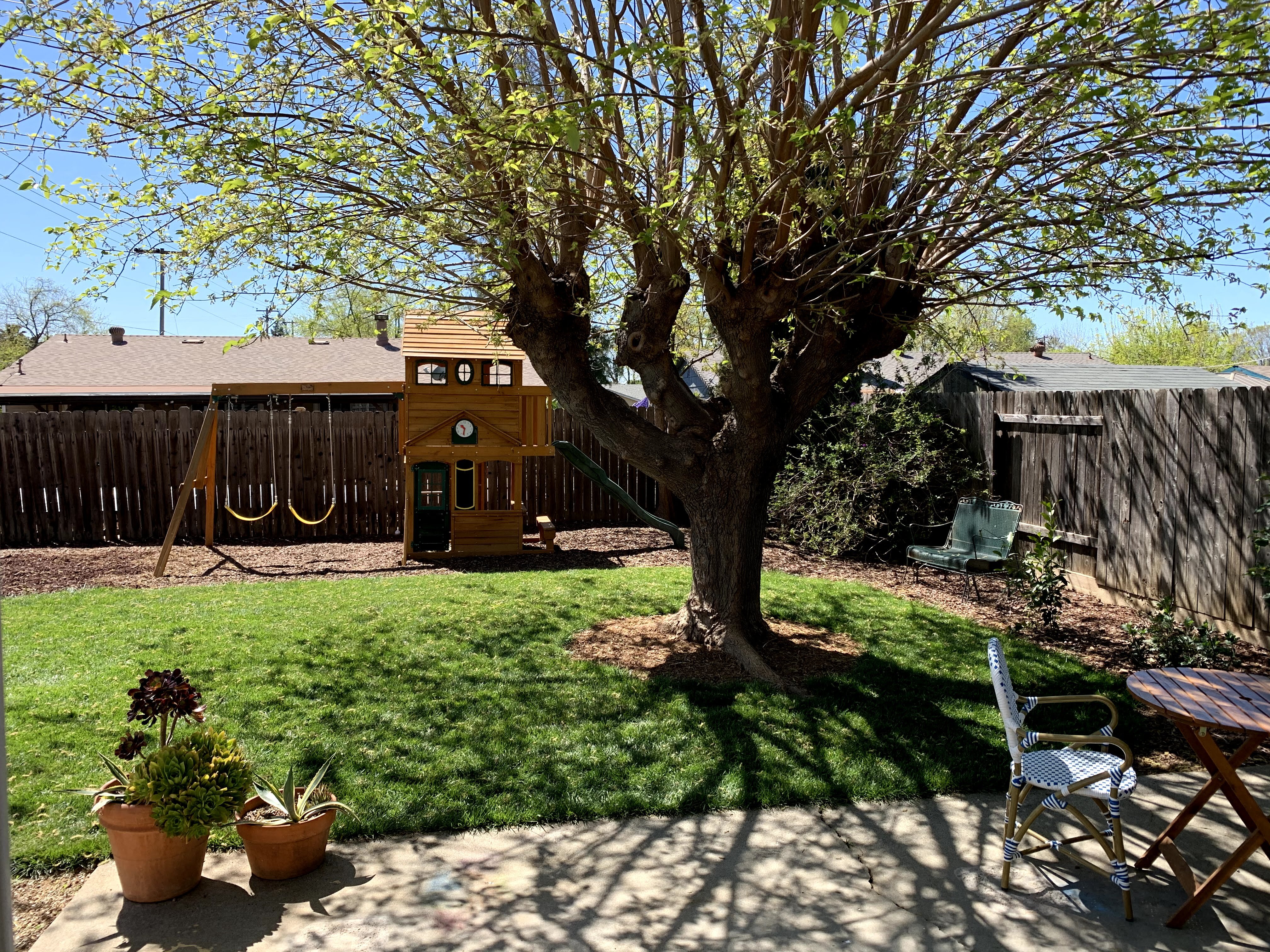 Backyard Reno