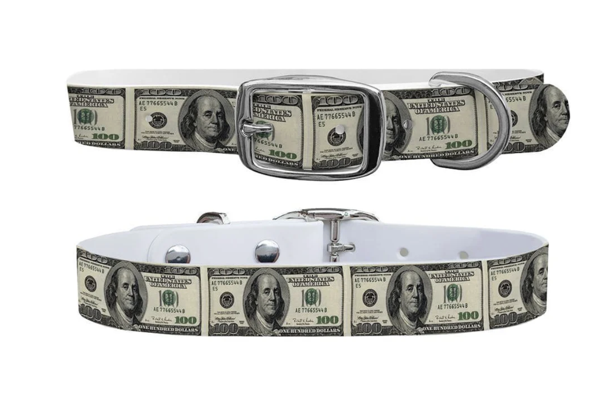100 Dollar Bill collar