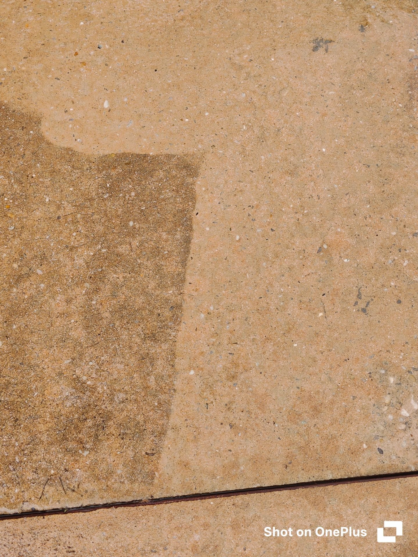 Professional Driveway Cleaning Services – Dothan, AL