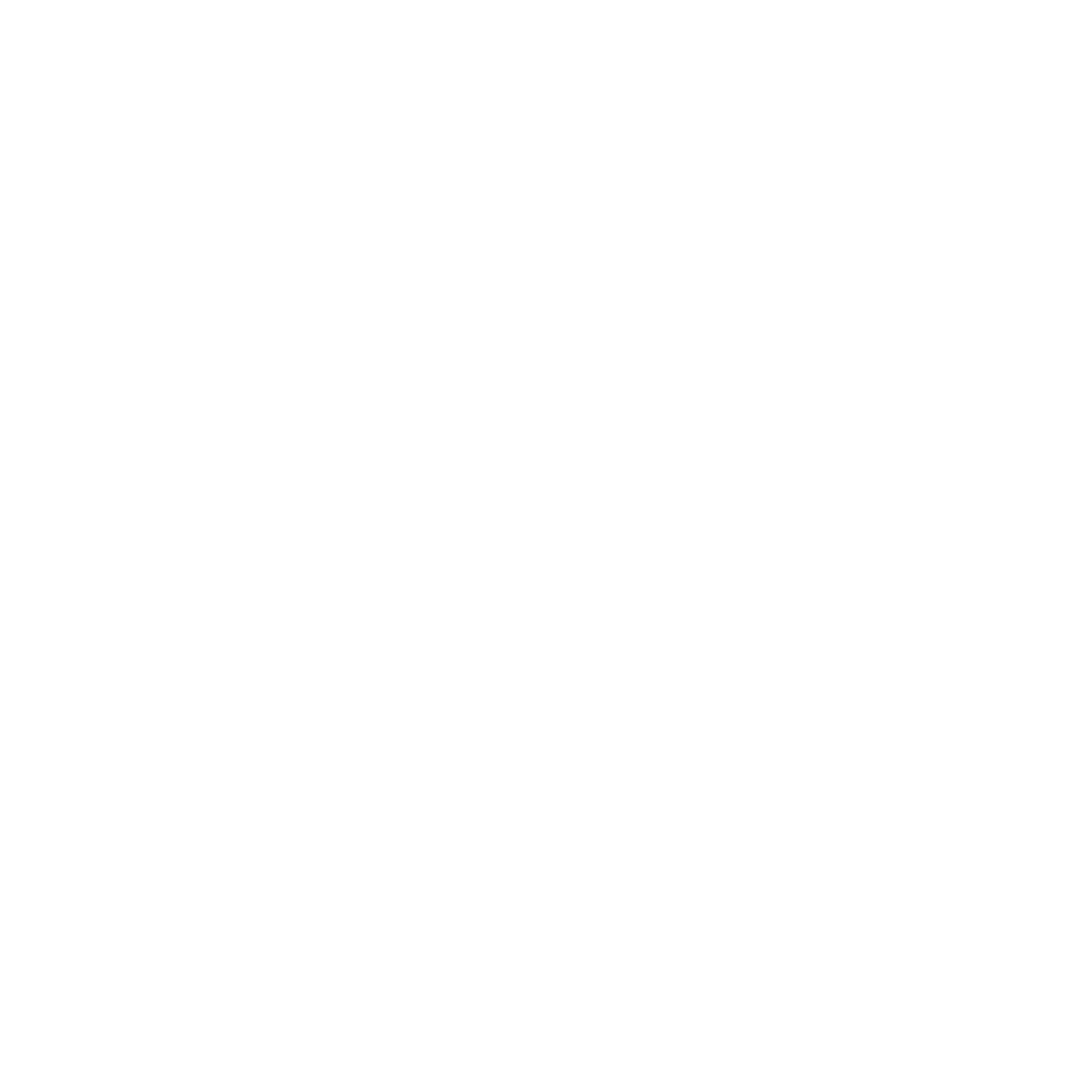 ZEPHYR Intelligence