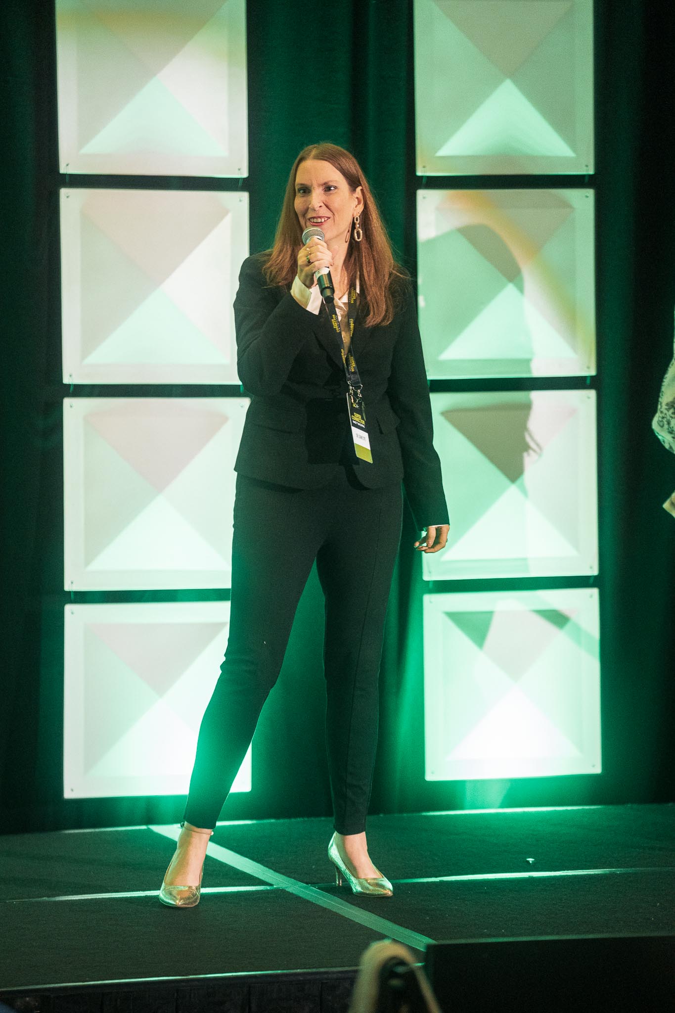 Dr. Diane Dye speaking at a professional event