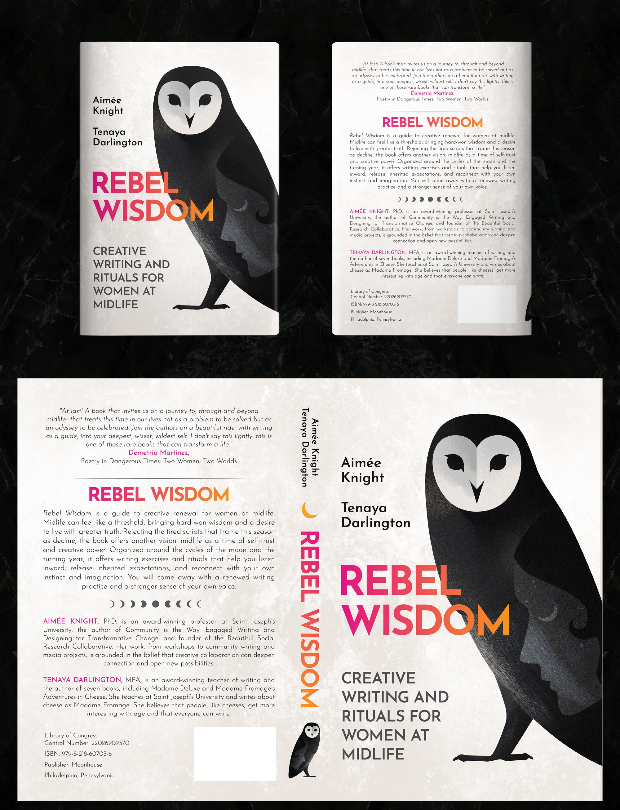 Rebel Wisdom book cover