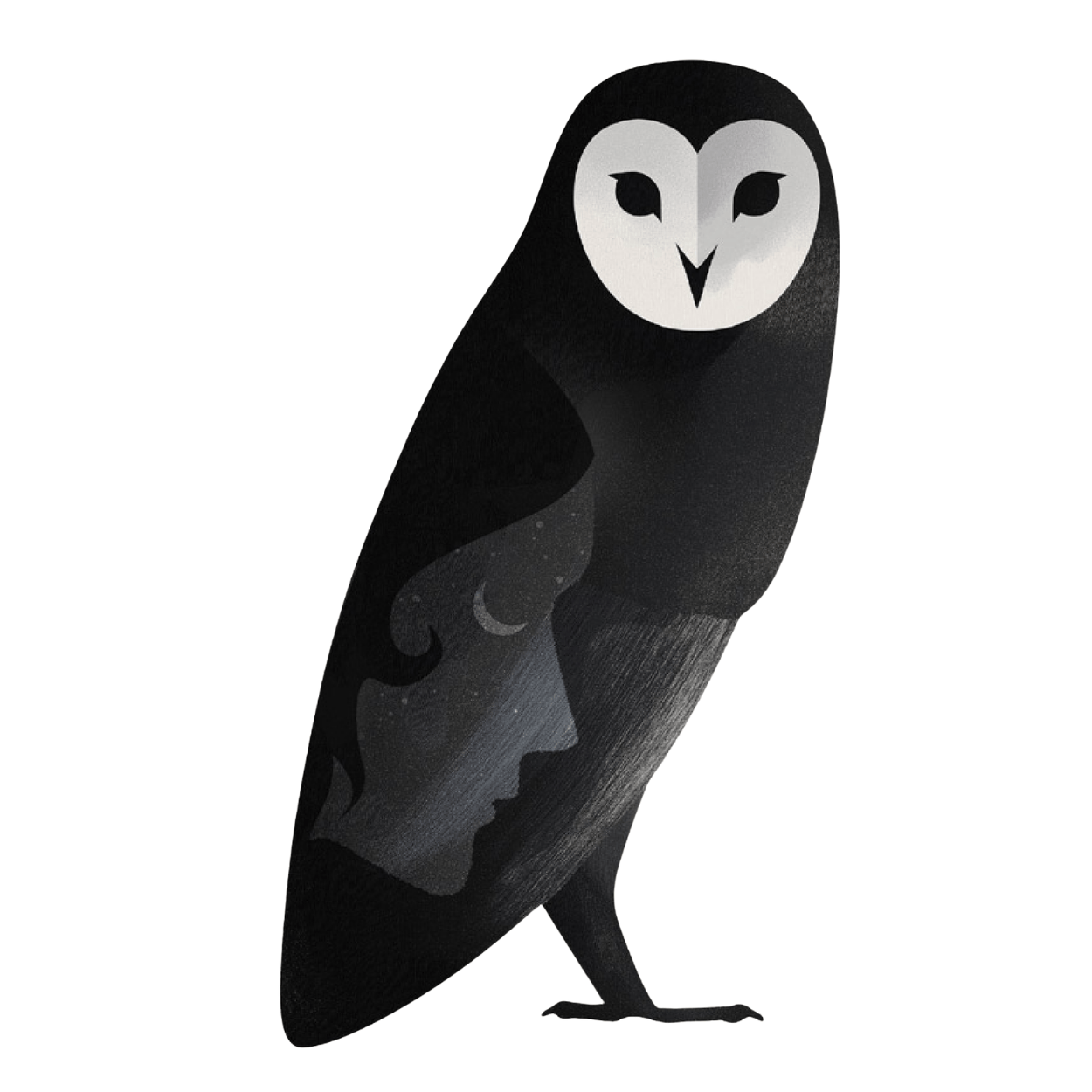 Moonhouse School owl illustration