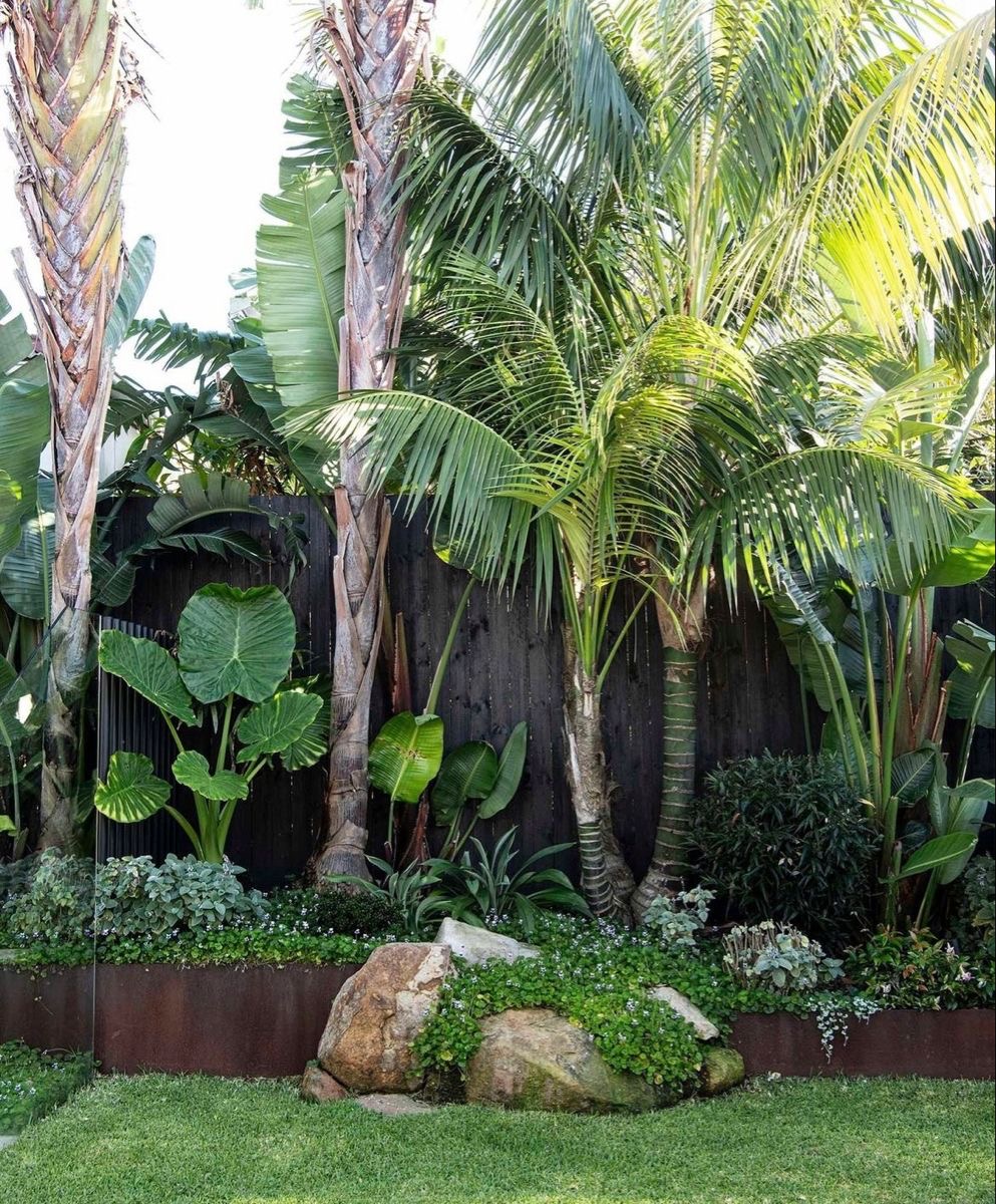 Exotic tropical border with palms, banana plants, alocasia and corten steel edging