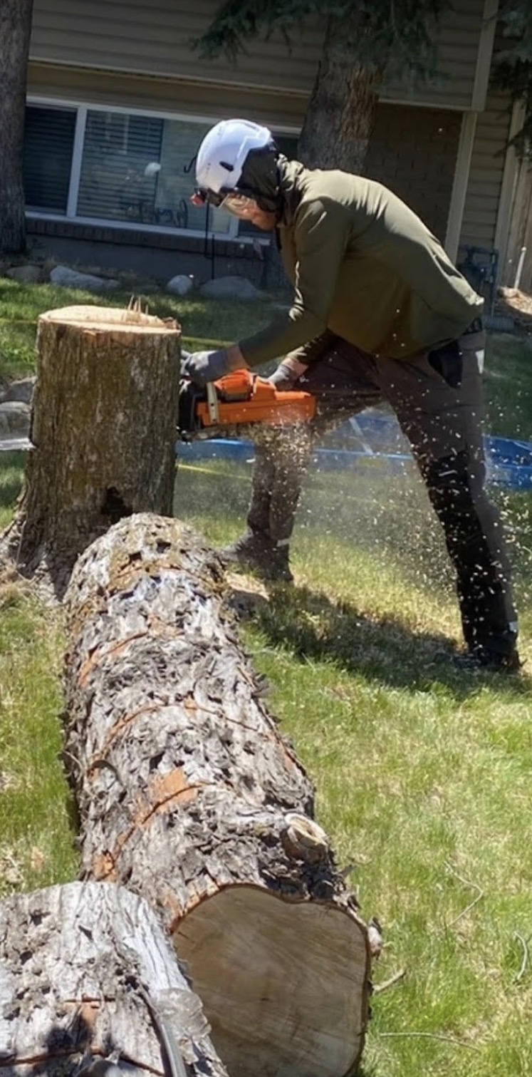 Strategic Tree Experts employee safely cutting a tree