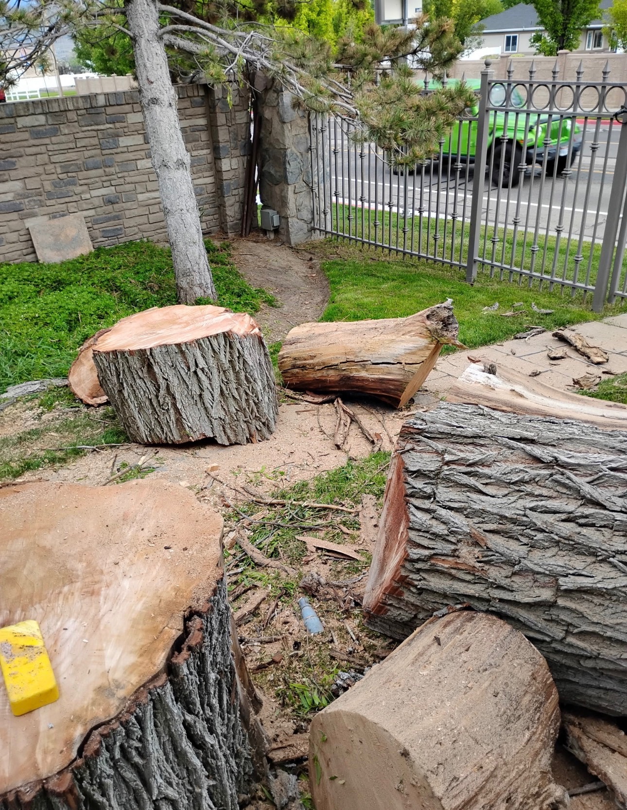 Emergency tree service - freshly cut tree logs from a real job