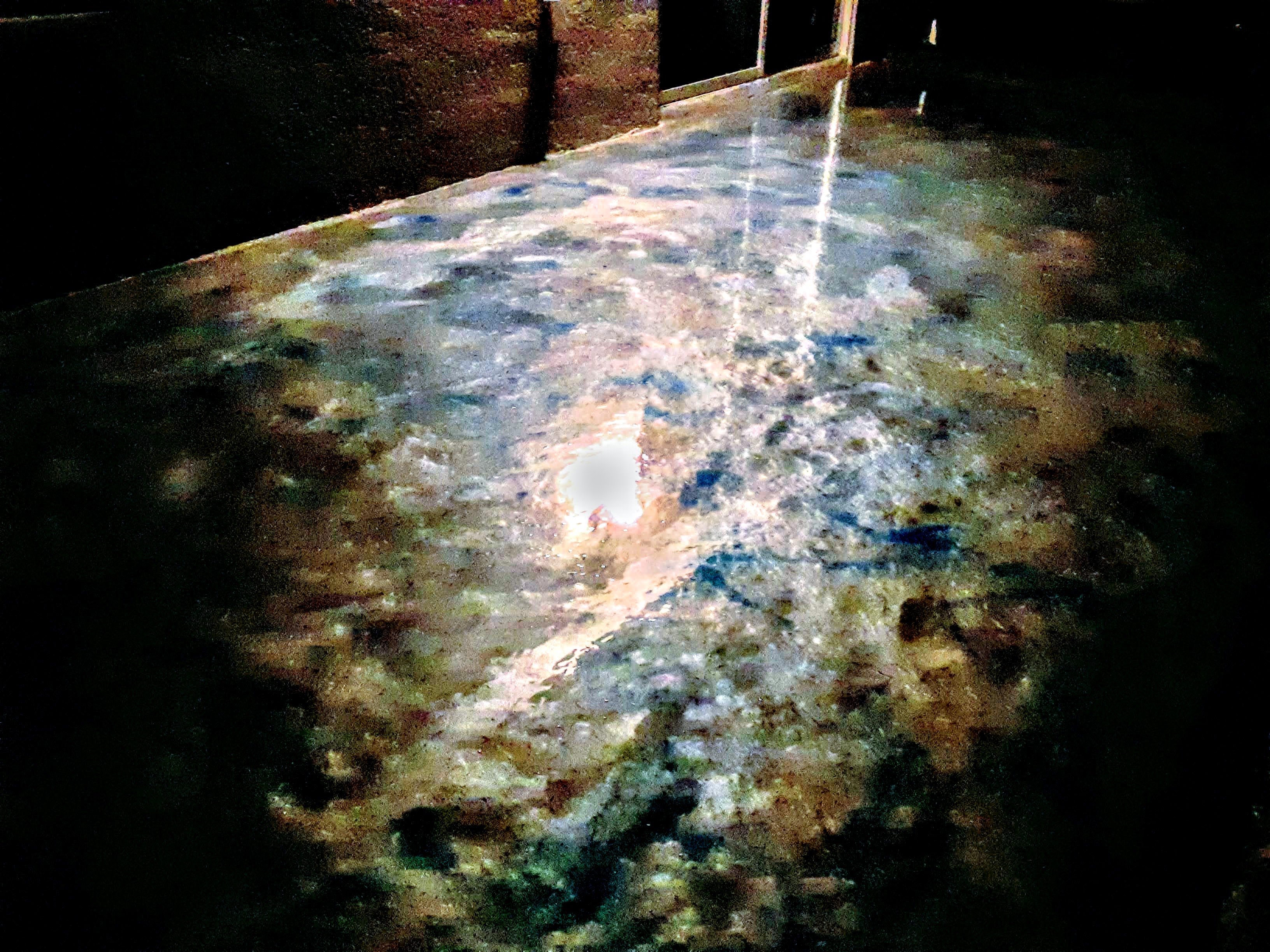 Dark earth-tone metallic epoxy floor — moody lighting with deep gloss reflection in green, brown and gold tones, Central Florida