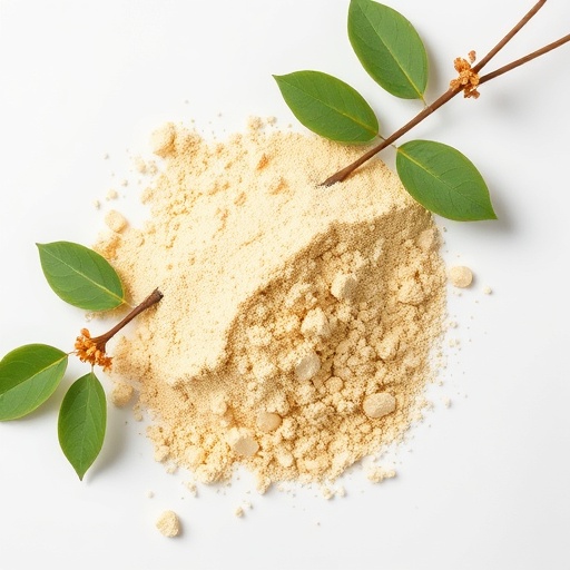 Berberine HCl — AMPK activation pathway