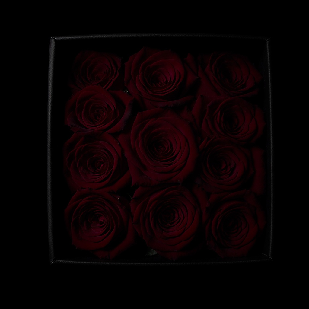 Oversized crimson rose box, dark editorial