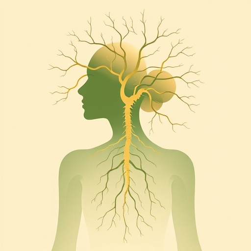 Nervous system as root system